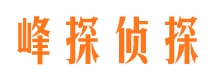 尖扎侦探公司